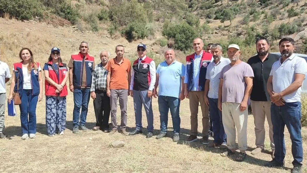 Aydın’da mera ıslah projeleri sürüyor!